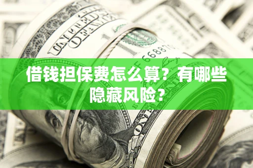 武汉借钱担保费怎么算？有哪些隐藏风险？
