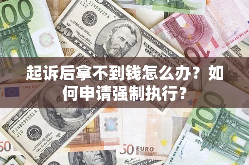 武汉起诉后拿不到钱怎么办？如何申请强制执行？