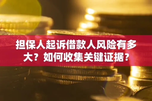武汉担保人起诉借款人风险有多大？如何收集关键证据？