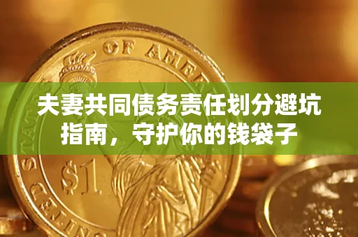 武汉夫妻共同债务责任划分避坑指南，守护你的钱袋子