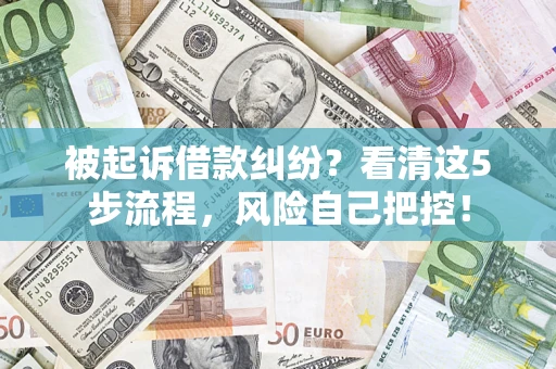 武汉被起诉借款纠纷？看清这5步流程，风险自己把控！