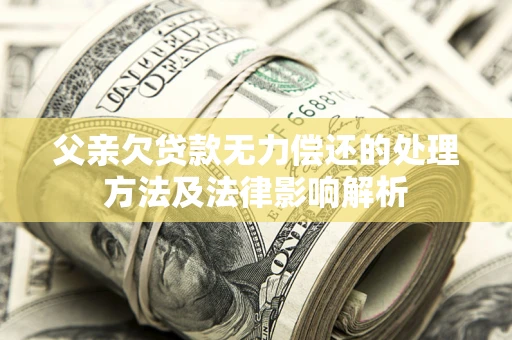 武汉父亲欠贷款无力偿还的处理方法及法律影响解析