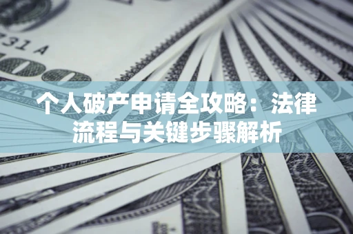 武汉个人破产申请全攻略：法律流程与关键步骤解析