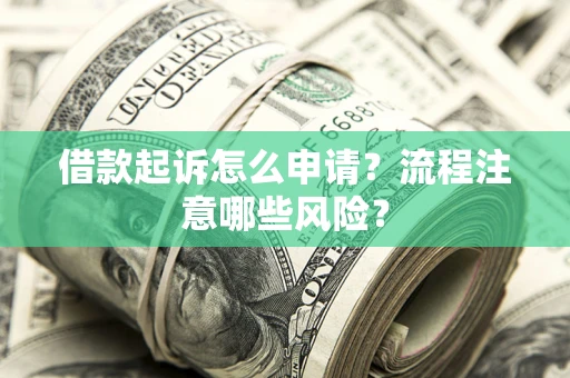 武汉借款起诉怎么申请？流程注意哪些风险？