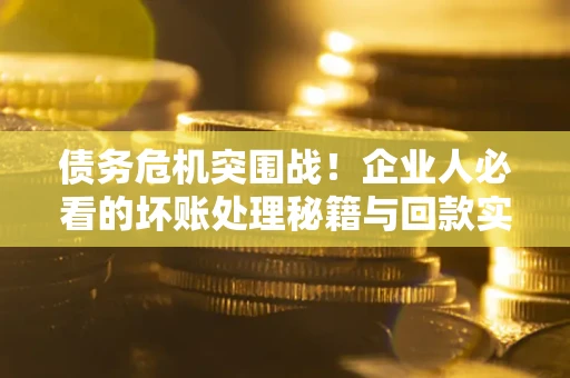 武汉债务危机突围战！企业人必看的坏账处理秘籍与回款实战指南